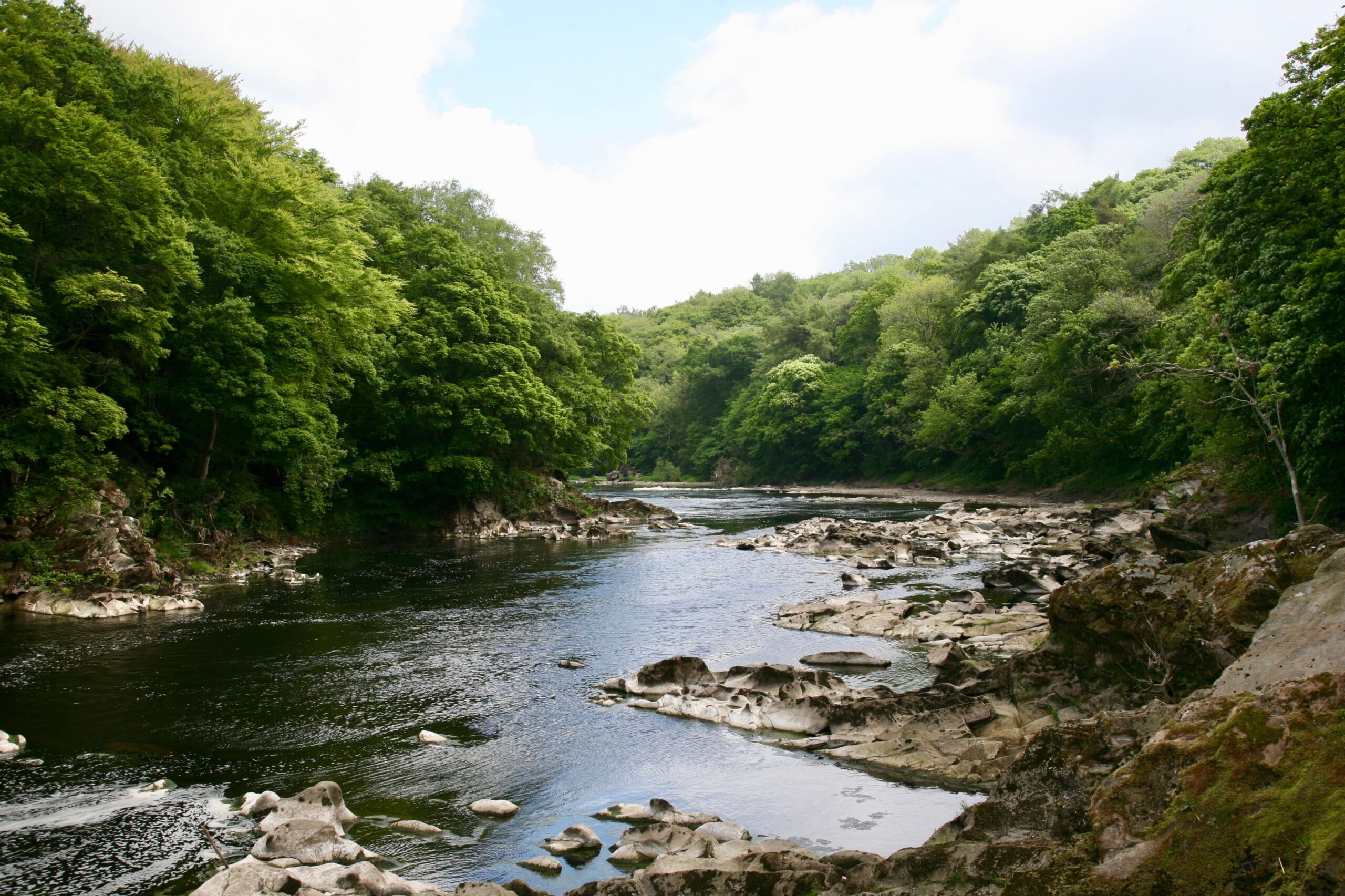 A view of the River Ribble close to Ribchester near Preston, Lancashire